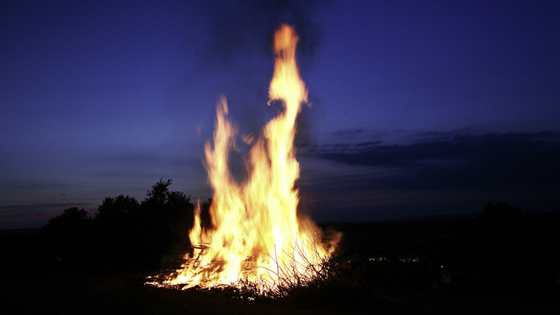 did-the-catholic-church-burn-the-bible